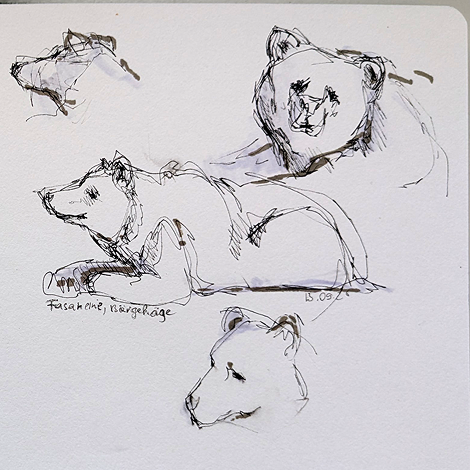 der alte Baer